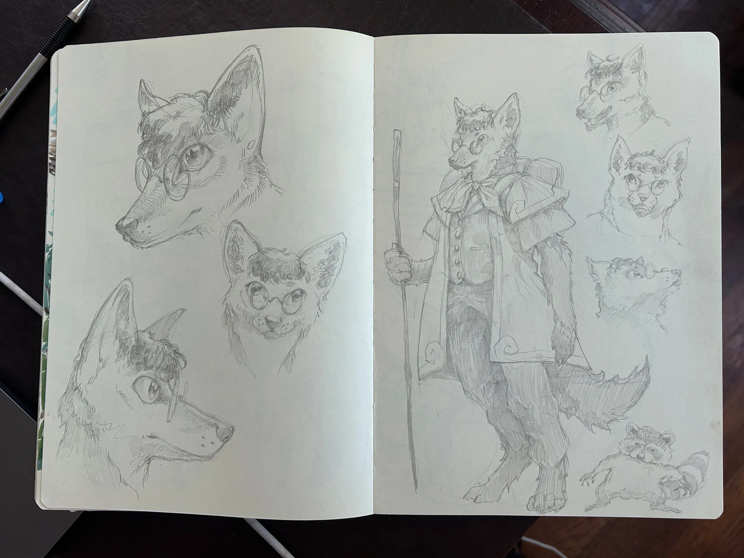 Exploratory character sketches of an anthropomorphic coyote and a raccoon.