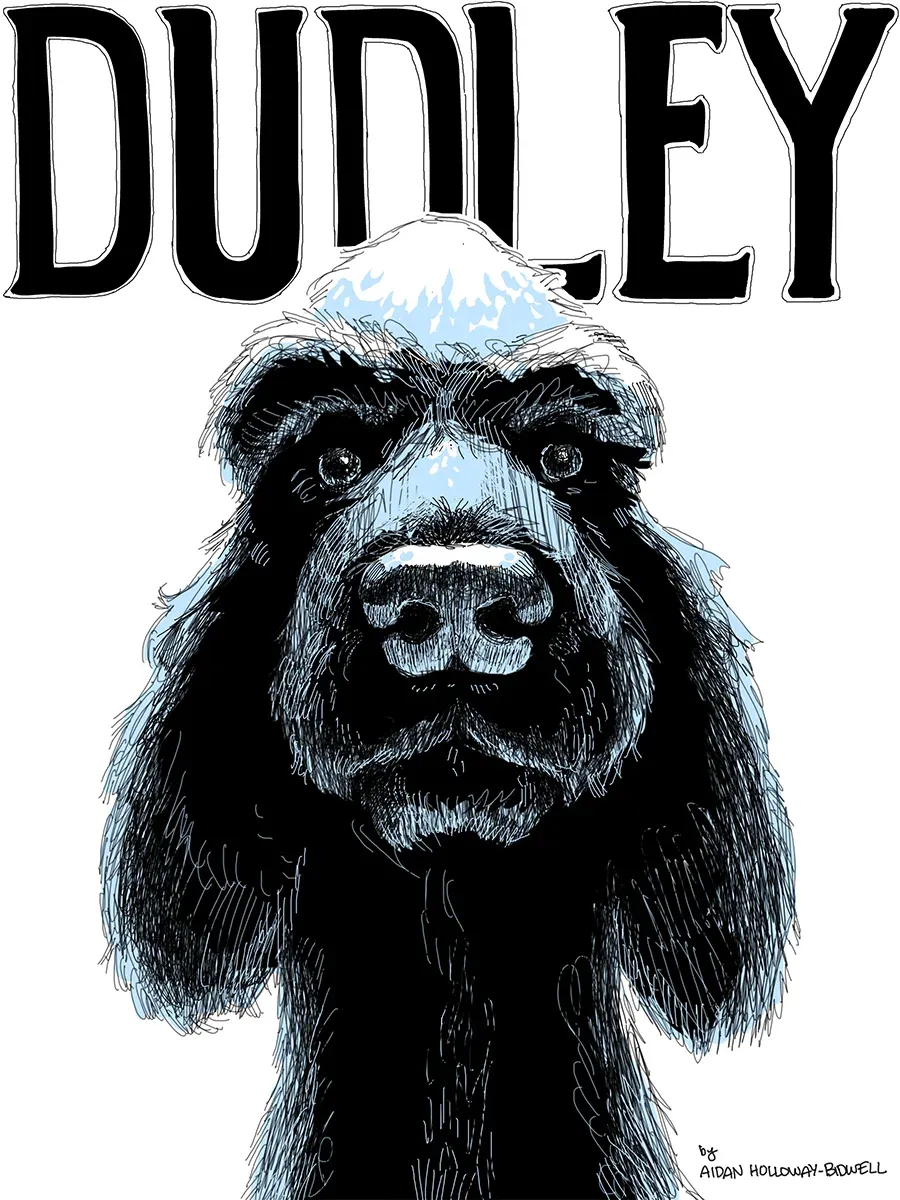 Cover of Dudley, featuring a scratchy illustration of a poodle's face.